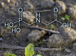 Der Wirkstoff Glyphosat ist von den europischen Behrden „bis zum berdruss” analysiert worden, betonte EU-Agrarkommissar Phil Hogan im Europaparlament. 
