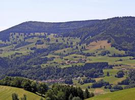 Die Landwirte im Allmend-Gebiet des Sdschwarzwalds sind unzufrieden damit, dass Flchen aus der Bruttoflche Landwirtschaft herausgemessen wurden. 