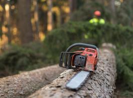 Die Praxis im Forst kommt den Waldeigentmern bei den EU-Regulierungsinitiativen zu kurz.