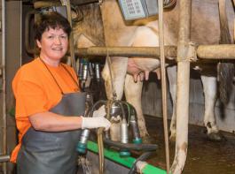 Das obere  Viertel der Betriebe ermolk pro Kuh etwa 2000 kg mehr Milch als das untere –  und das bei nahezu gleichem Aufwand.