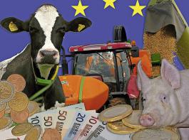 Wer soll wieviel fr  was bekommen? Die EU-Kommission hat jetzt offiziell ihre Vorstellungen von der knftigen EU-Agrarpolitik prsentiert.