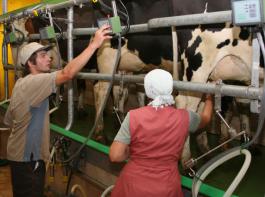 Im Gesprch ist ein Zuschuss von 14 Cent, der dem Milchbauern fr jedes Kilogramm Milch gezahlt werden soll, das er im Vergleich zum entsprechenden Zeitraum des Vorjahres weniger produziert.