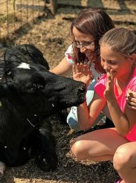 Der direkte Kontakt mit Nutztieren sorgt bei Kindern für nachhaltige Eindrücke und besseres Verständnis für die Erzeugung von Lebensmitteln.