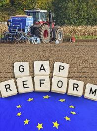 Was gilt auf den Äckern? Europas Bauern warten dringend auf Entscheidungen zur GAP-Reform.