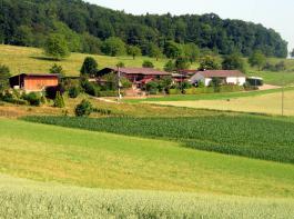 285000 landwirtschaftliche Betriebe sind 2013 in Deutschland noch gezählt worden. 