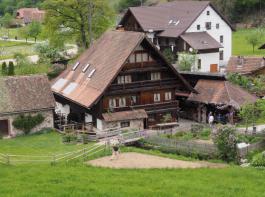 Im Tal der Wilden Gutach: Zwei Mühlen beieinander: Im kleinen Gebäude links ist eine Getreidemühle, im Untergeschoss des sehr alten Holzhauses rechts eine Ölmühle untergebracht. 