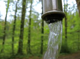 Zehnfach teurere Analysen für Eigenwasserversorger? Im Ortenaukreis sind Landwirte erbost über Bescheide des Landratsamts.