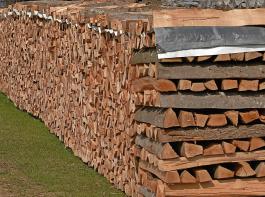 Aufatmen bei Waldbauern: Das Gebudeenergiegesetz  
wird  die ursprnglich geplanten harten Einschrnkungen fr Holz als  Energietrger nicht mehr enthalten.