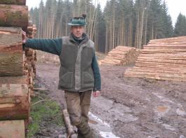 Die wirtschaftlichen Aspekte der Holzvermarktung sind im Kartellverfahren umstritten. 