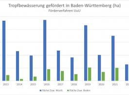 Die Grafik visualisiert, wie viele Hektar Tropfbewässerung gefördert wurden, 
die blauen Balken stehen für Württemberg, die grünen für Baden.