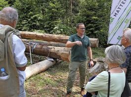 Forstfachlehrer Philipp Huber (Mitte) erläuterte die  Holzsortierung an Probestämmen. 