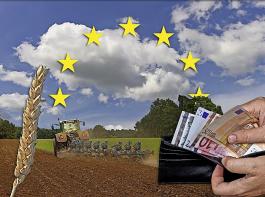 Die EU-Kommission will unter anderem die Krisenreserve  der Gemeinsamen Agrarpolitik (GAP) aktivieren.