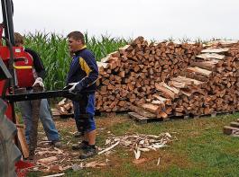 Laut Bundesrat sorgt Heizen mit Holz für Wertschöpfung im ländlichen Raum.