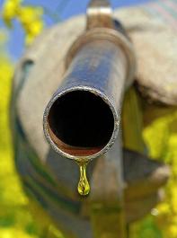 „Die Emissionsreduktionsziele sind nur durch Beimischungen von Biokraftstoffen zu erreichen”, stellte DBV-Präsident Rukwied fest. 