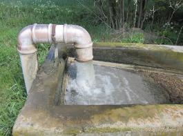 Landwirte, deren Quellen im Wald oder direkt am Waldrand liegen, knnen Erleichterungen bei der Trinkwasseruntersuchung beantragen.