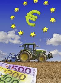 Um die Verteilung der Mittel „gerechter” zu gestalten, denkt die Brssler Kommission darber nach, die Direktzahlungen je Betrieb auf 60000 bis 100000 Euro zu begrenzen.