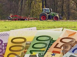Laut EU-Kommission sollen mindestens 60 Prozent der Agrarfrderung der Ersten Sule zugeschrieben werden. Auerdem will Brssel die Direktzahlungen zwischen den Mitgliedstaaten weiter angleichen.