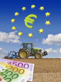 Der Anteil der Agrarausgaben am Gesamtbudget der EU schrumpft. 