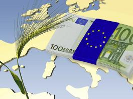 Das Fingerhakeln unter den EU-Mitgliedstaaten um die knftigen Gelder fr die Landwirtschaft ist bereits im Gang.  Dabei ist noch gar nicht klar, wie der kommende Mehrjhrige Finanzrahmen (MFR) der EU aussieht. 