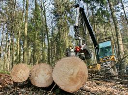 Die Organisation der Holzvermarktung in Baden-Württemberg 
steht vor einer grundlegenden Änderung. 