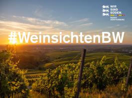 Der Fotowettbewerb Weinsichten BW prmiert die schnsten Weinsichten in Baden-Wrttemberg.