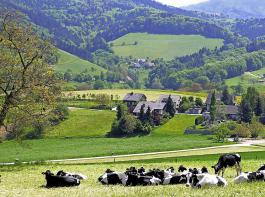 Im Leitbild „Unsere Mittelgebirge im Jahr 2030” geht es vor allem um die konsequente Strkung landwirtschaftlicher Wertschpfungsketten in heimischen Mittelgebirgen.