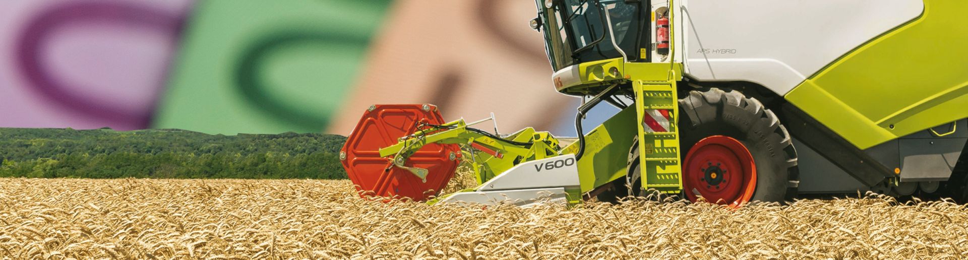 5.3 Landwirtschaftliche Gesamtrechnung