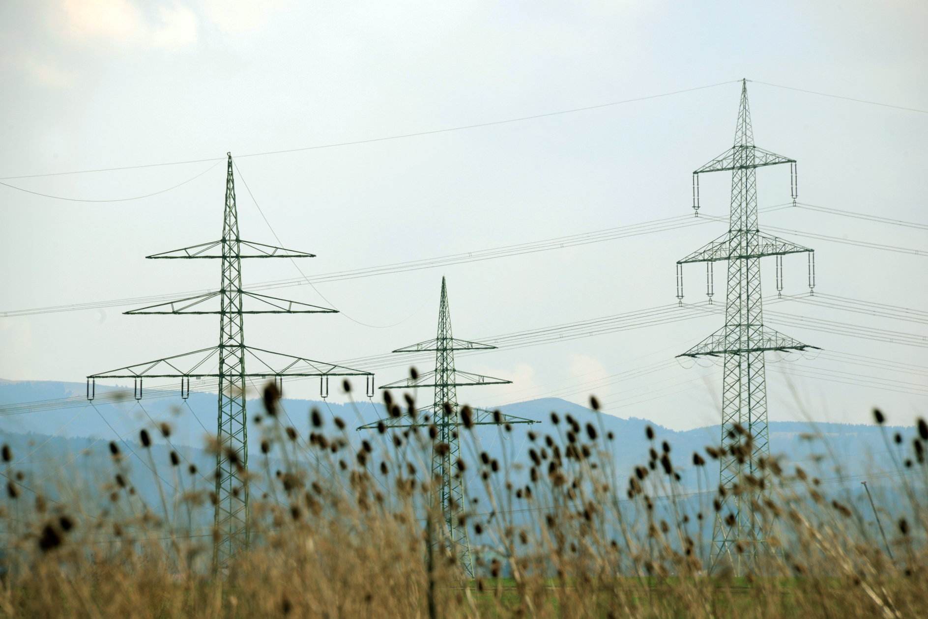 Erdkabel statt Freileitungen - - Kreisbauernverband Fulda-Hünfeld - 1