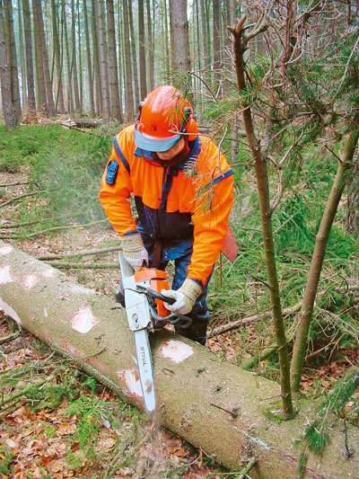 Der Profi im Wald - Ausbildung - Fachthemen