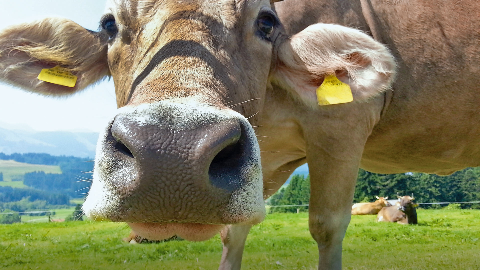 Faktencheck Landwirtschaft - www.bauernverband.de
